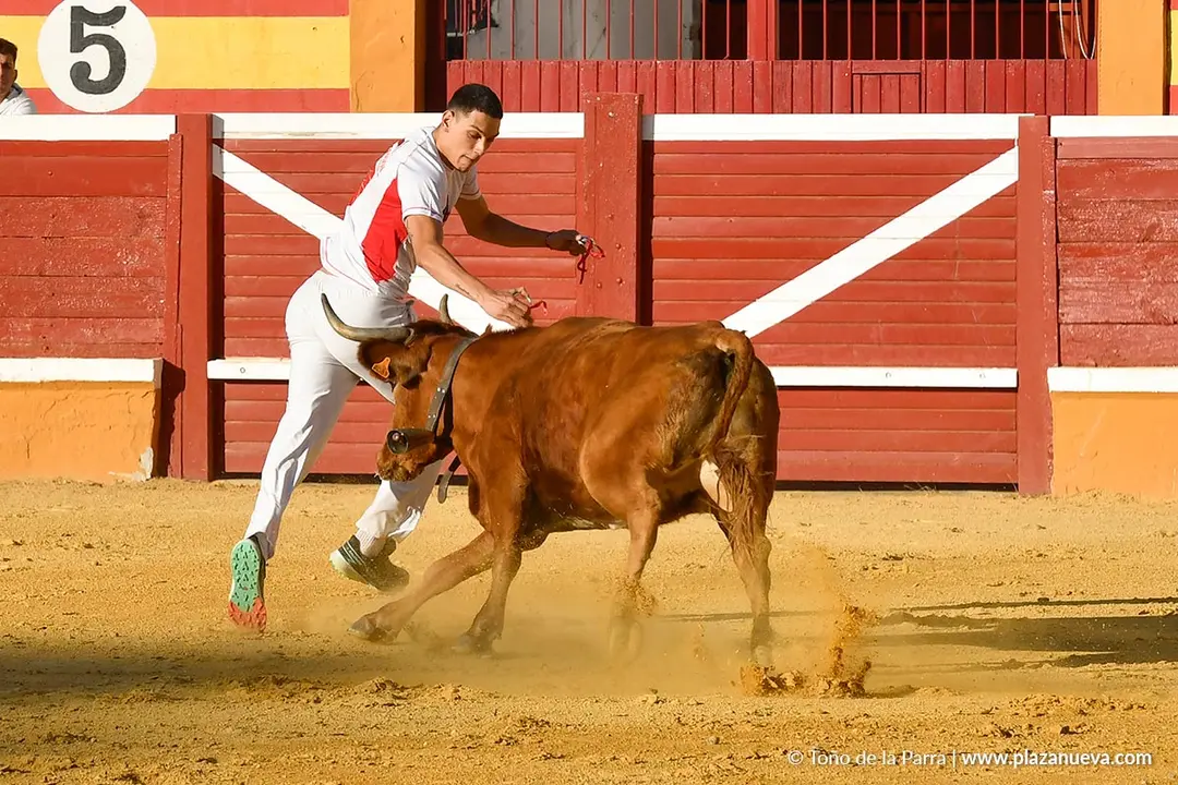 Recortes con anillas en Tudela 2025 17