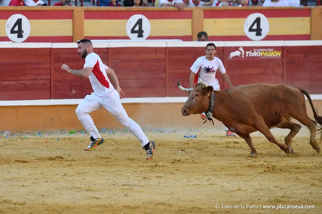 Recortes con anillas en Tudela 2025 18
