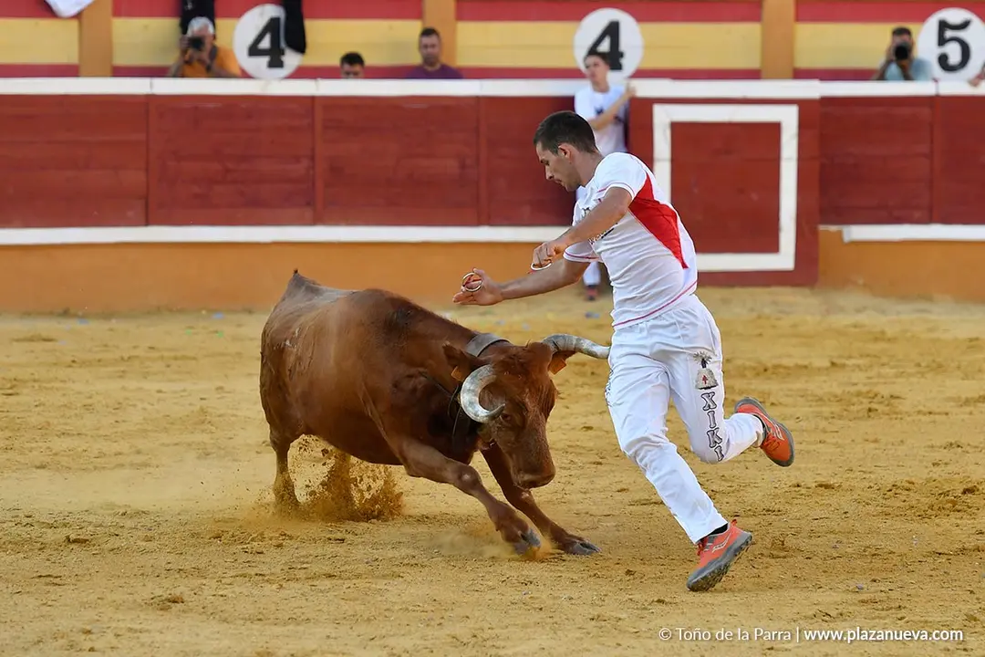 Recortes con anillas en Tudela 2025 19