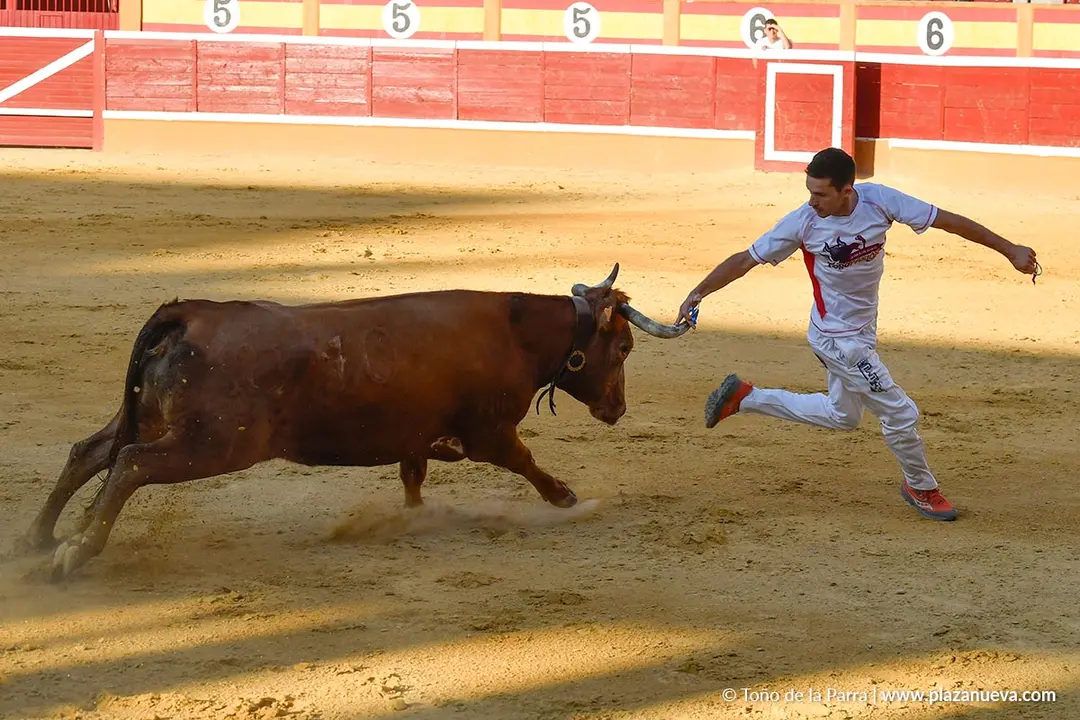 Recortes con anillas en Tudela 2025 20