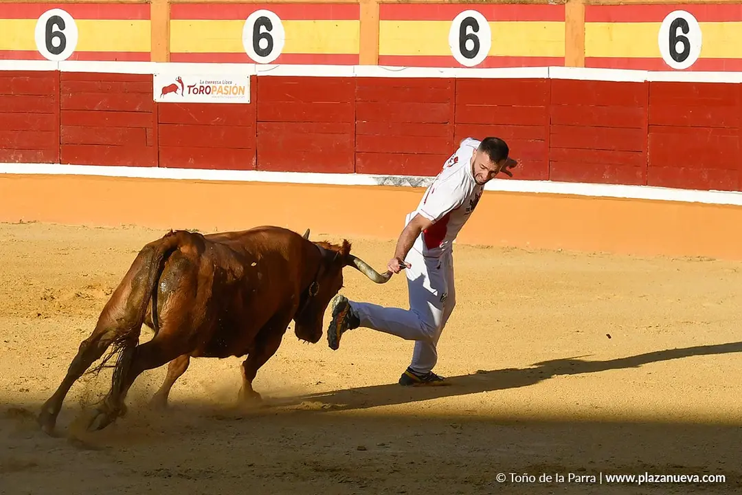 Recortes con anillas en Tudela 2025 21