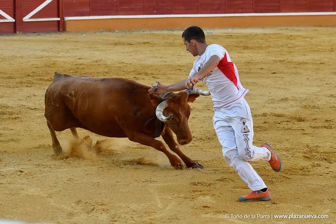 Recortes con anillas en Tudela 2025 24