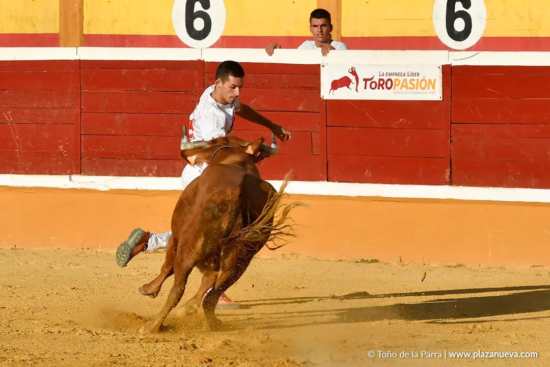 Recortes con anillas en Tudela 2025 26
