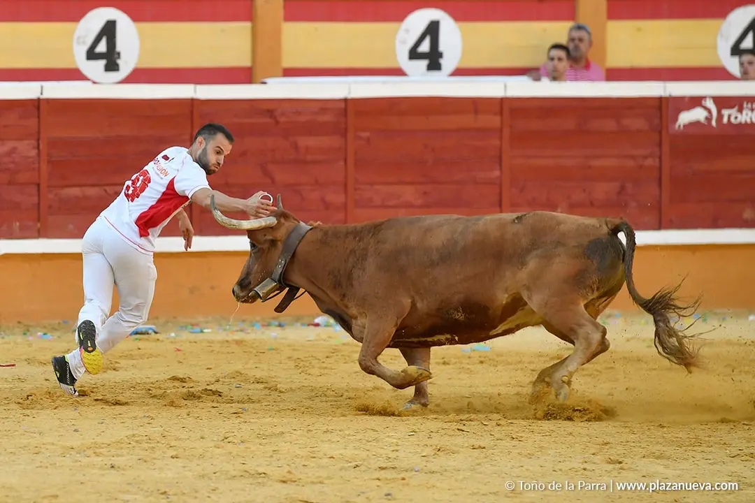 Recortes con anillas en Tudela 2025 29