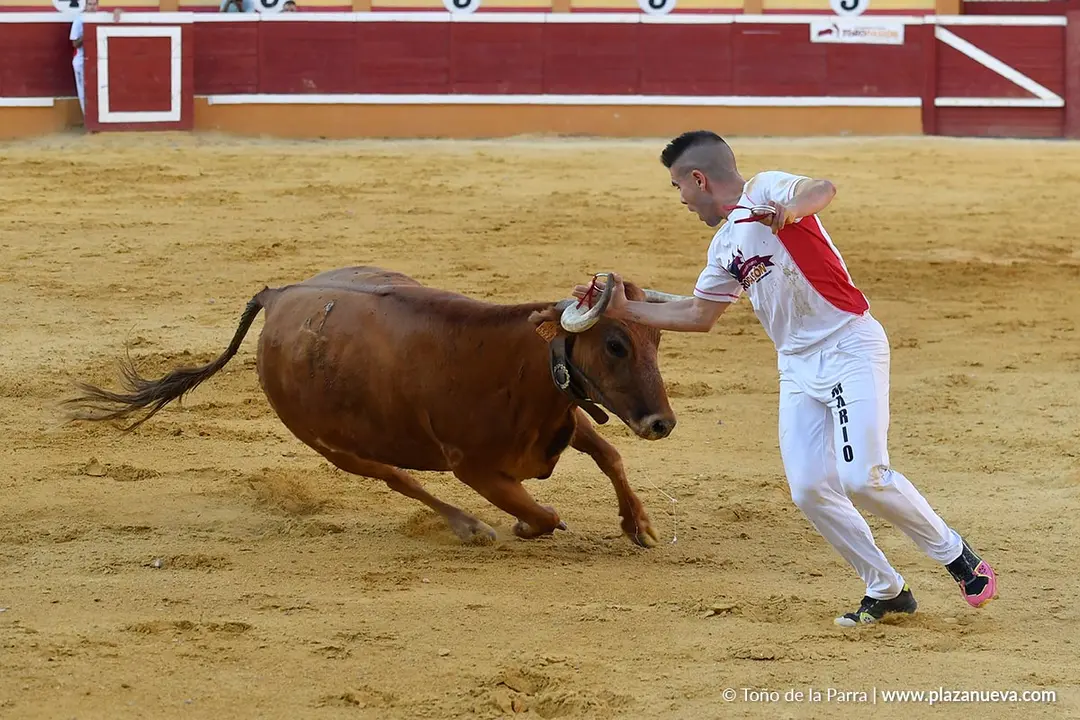 Recortes con anillas en Tudela 2025 30