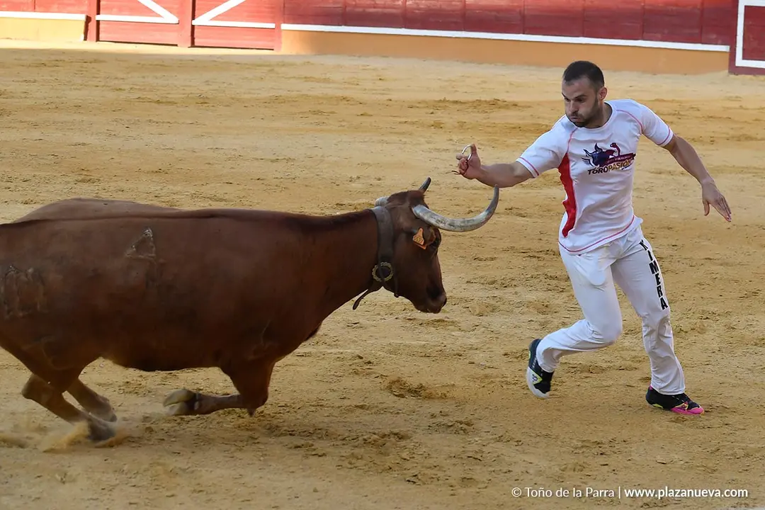 Recortes con anillas en Tudela 2025 32