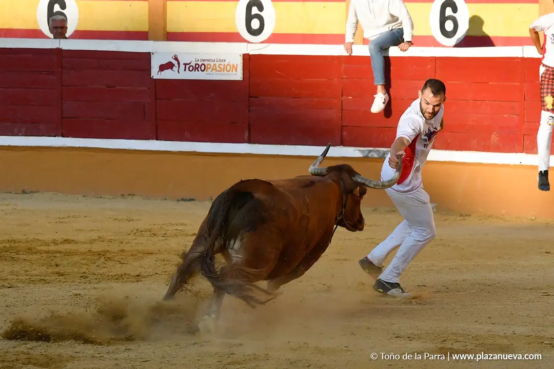 Recortes con anillas en Tudela 2025 33