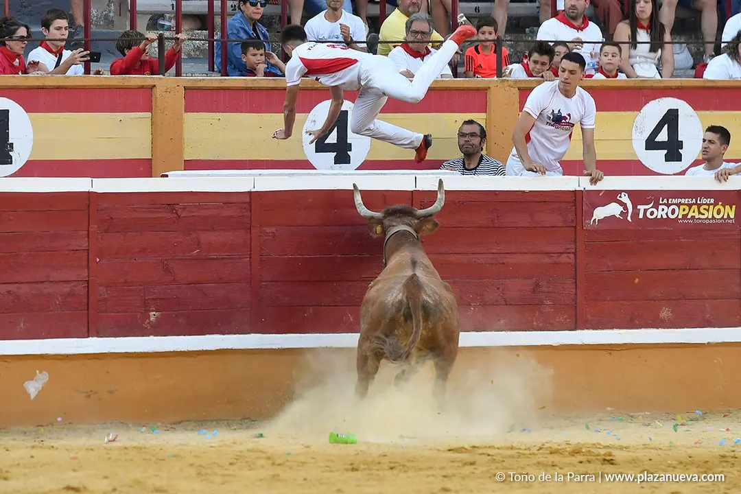 Recortes con anillas en Tudela 2025 34