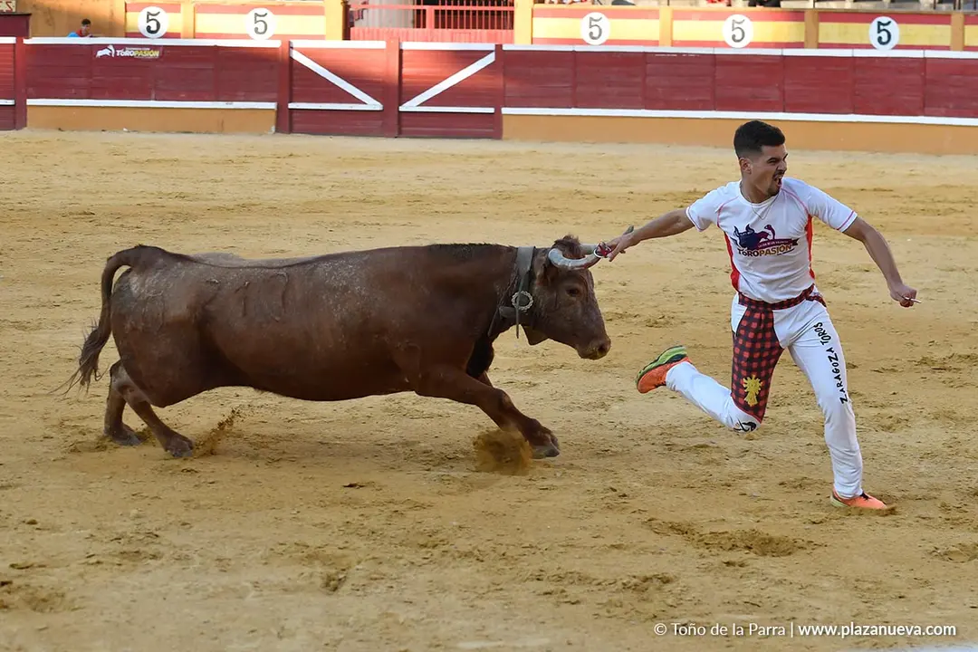 Recortes con anillas en Tudela 2025 36