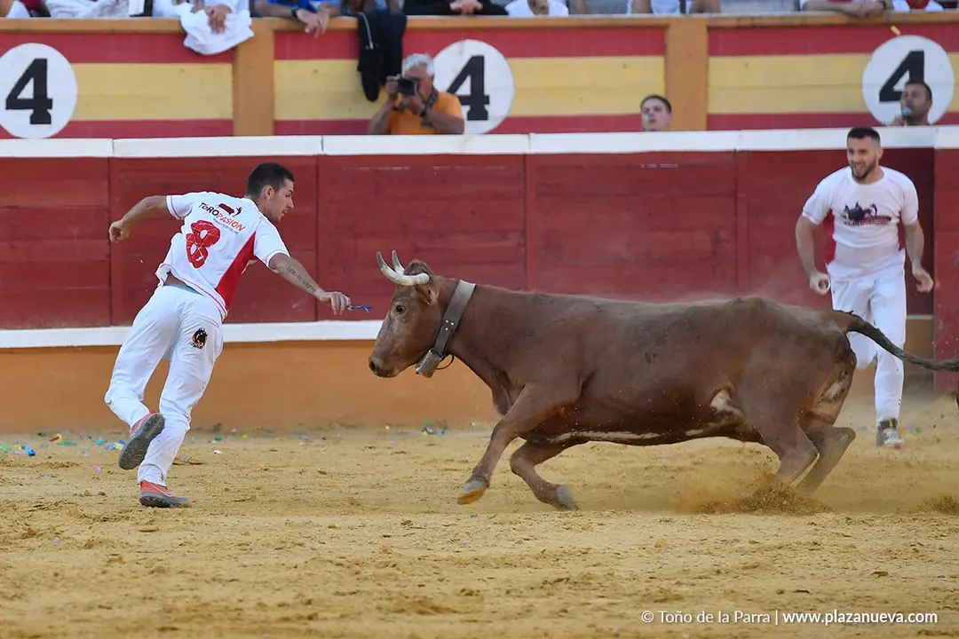 Recortes con anillas en Tudela 2025 37