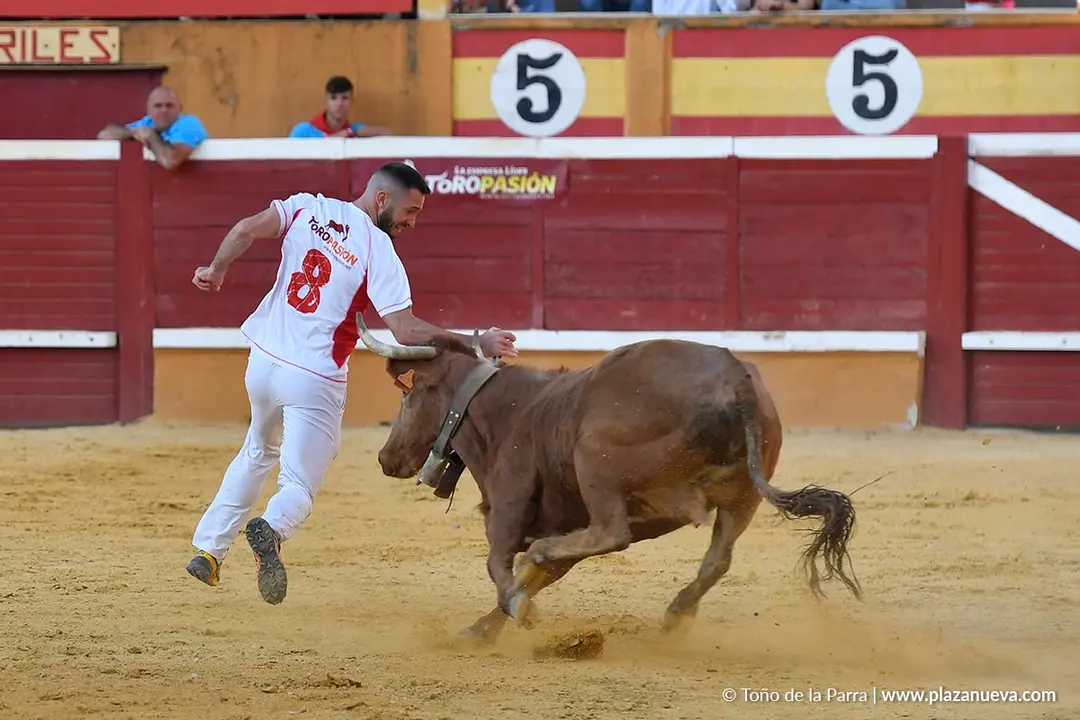 Recortes con anillas en Tudela 2025 38