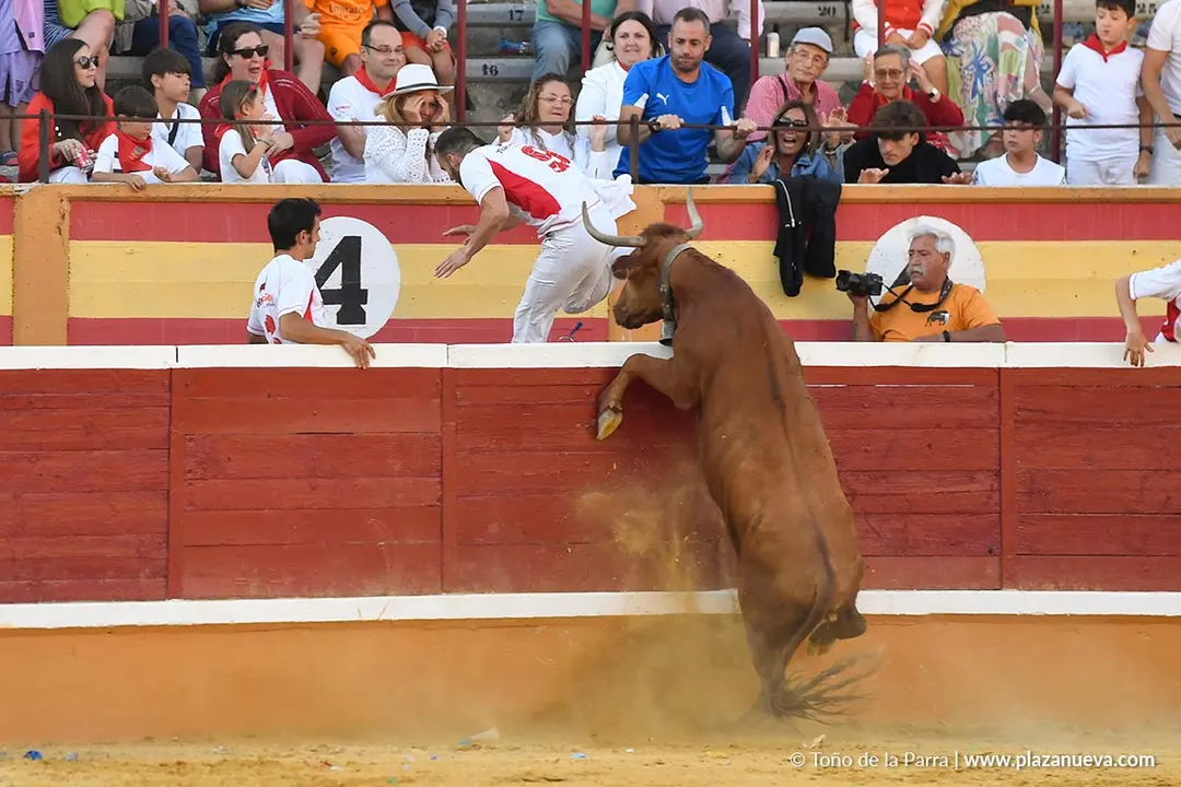 Recortes con anillas en Tudela 2025 41
