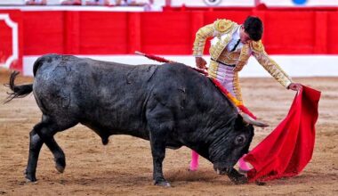 Jarocho confirmará alternativa en la Feria de Otoño de Madrid con Talavante y Aguado
