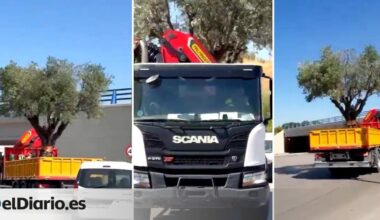 La retirada de grandes olivos y el recorte de sombras por la Fórmula 1 en Madrid termina de hartar a los vecinos de Ifema
