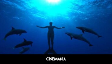 si te gustan los delfines no te pierdas este impactante documental disponible en streaming