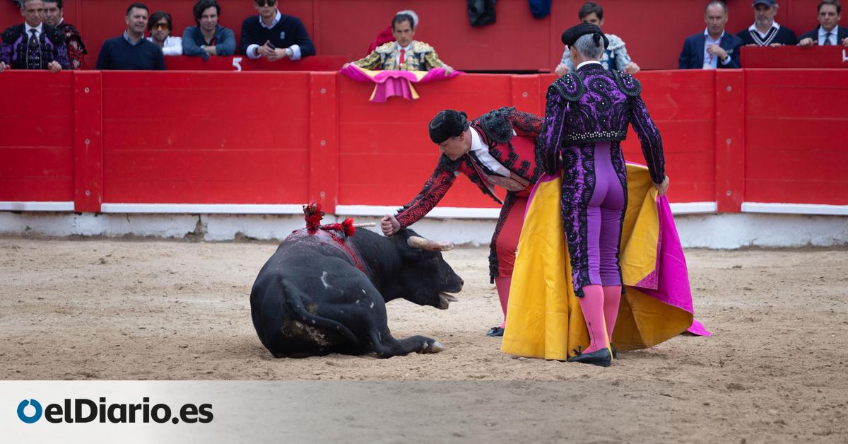 La Fundación Franz Weber trasladará a la ONU el acceso de menores a la corrida de toros de Inca