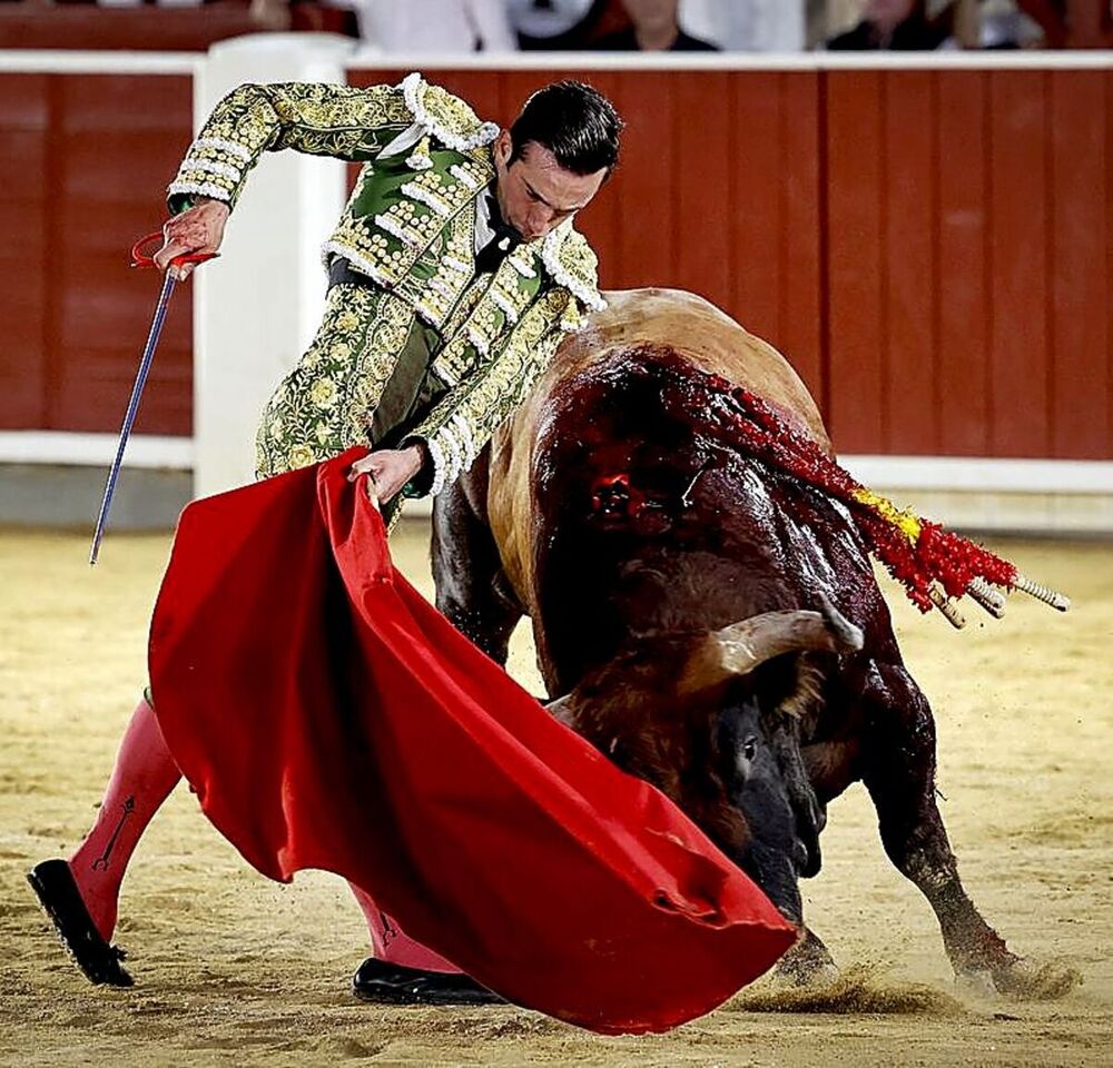 Molina abre la puerta grande en Saint Vincent de Tyrosse