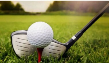 fallo analiza si el caddie es un servicio autónomo al jugador