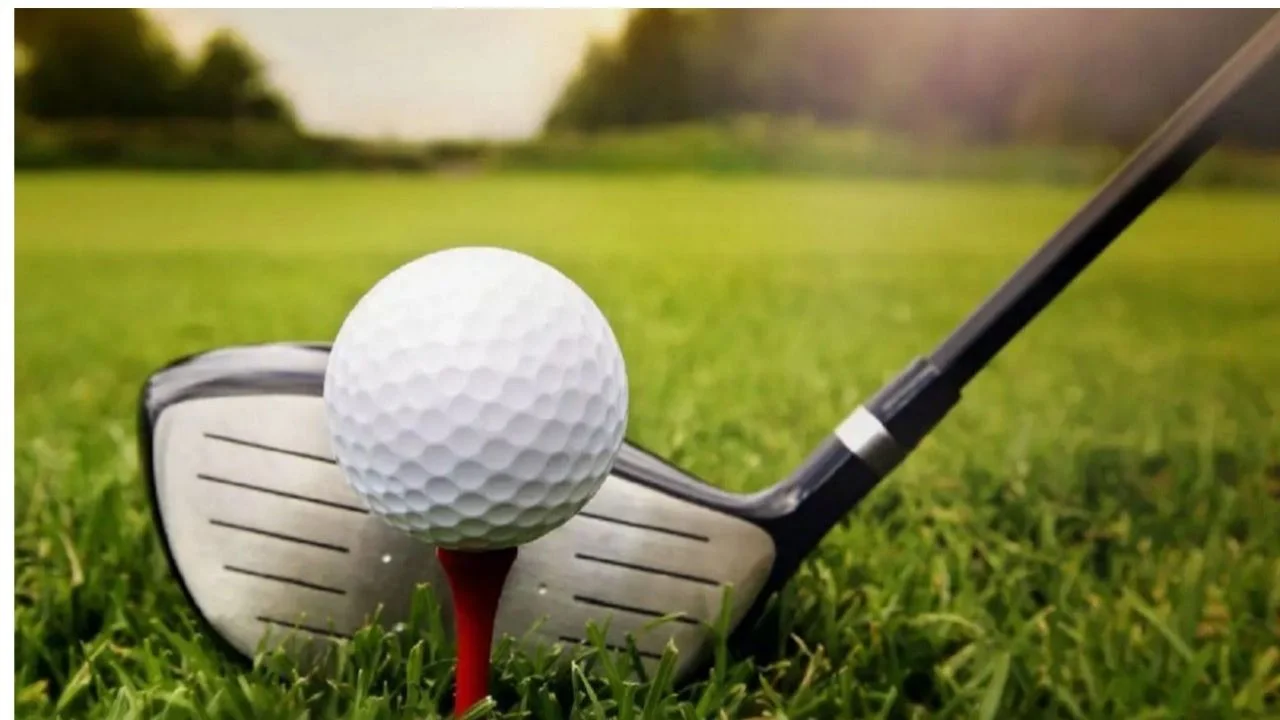 fallo analiza si el caddie es un servicio autónomo al jugador