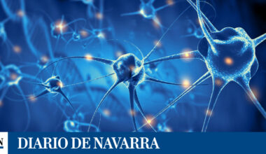 engrasar el cerebro para curar enfermedades neurológicas complejas