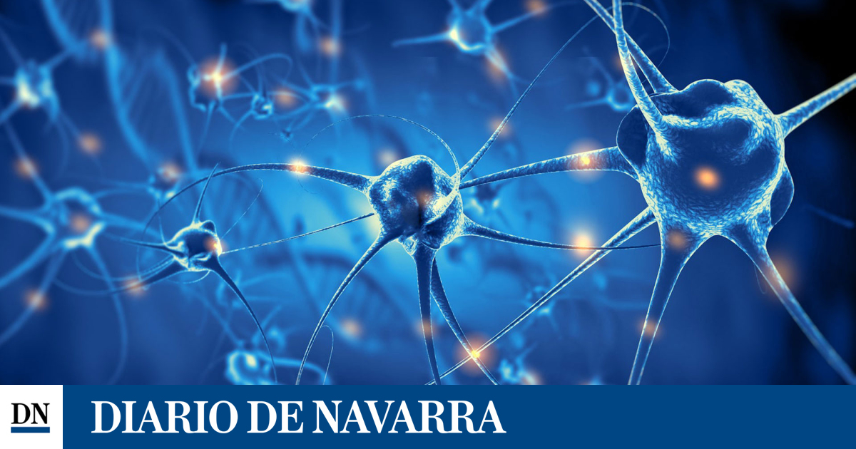 engrasar el cerebro para curar enfermedades neurológicas complejas