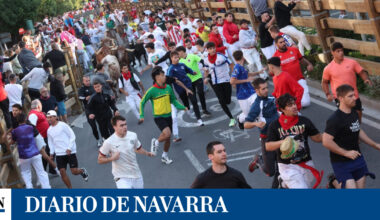 los mozos disfrutan de las carreras ante una manada compacta