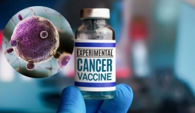 Científicos desarrollaron una SUPER VACUNA que podría servir para CURAR todos los tipos de cáncer - El Cronista