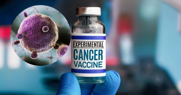 Científicos desarrollaron una SUPER VACUNA que podría servir para CURAR todos los tipos de cáncer - El Cronista