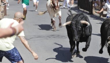 Gran afluencia de público en el animado encierro de Íscar