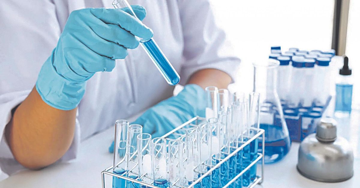 Descubren cómo puede el sistema combatir los parásitos intestinales
