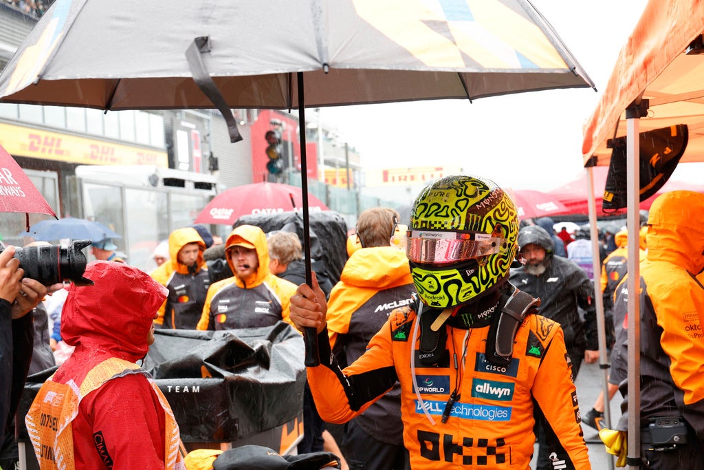 Norris fue duramente criticado por Rosberg