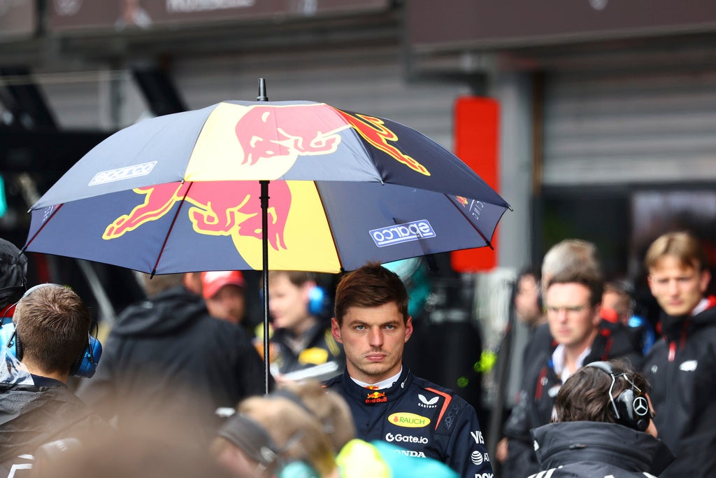 Verstappen consideró que se podía correr 