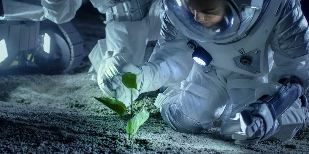 La Luna, más cerca de convertirse en un 'espaciopuerto' de la Tierra