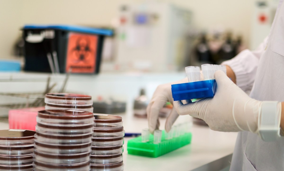 Infecciones de transmisión sexual en el embarazo incrementan riesgos para el parto