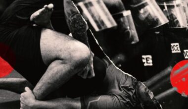 ¿Deberían los oficiales de policía ser más como combatientes de UFC?