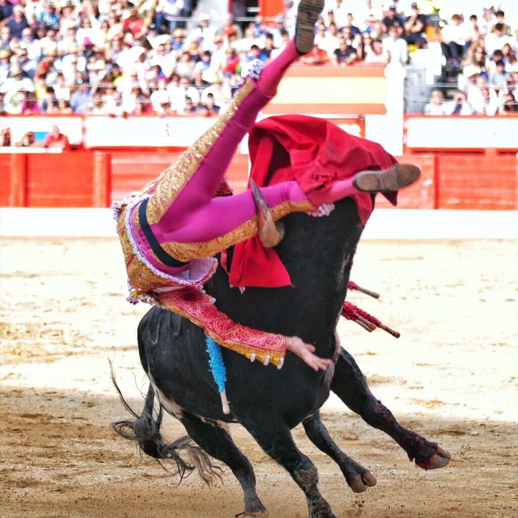 Emilio de Justo, dos fracturas en escápula y costilla y una rotura muscular