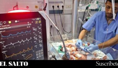 Ocupación israelí | El genocidio de Gaza supera los 60.000 muertos mientras 320.000 menores están en riesgo de inanición - El Salto