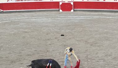 EL PAÍS