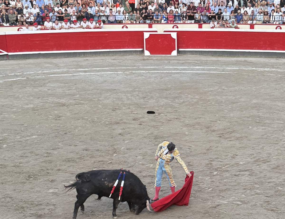 EL PAÍS