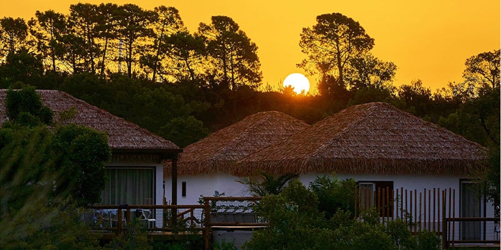 así es el hotel 'safari' en el que puedes dormir con leones y monos