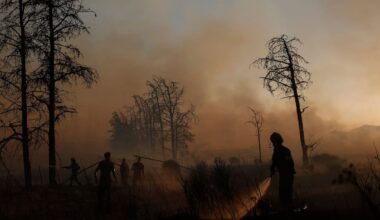 Grecia pide ayuda europea para combatir los incendios que obligan a evacuar a 5.000 personas | Internacional