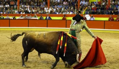 La pena de un Julio sin toros en Valencia