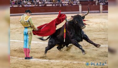 Cénate Las Ventas – El Financiero