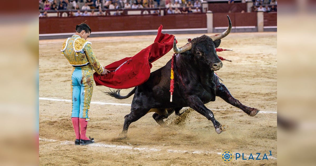 Cénate Las Ventas – El Financiero