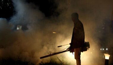 El Virus del Nilo Occidental en las puertas de Roma - Política