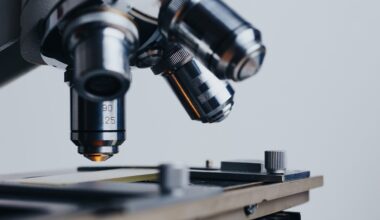 El uso de la nanomedicina en la batalla contra el cáncer