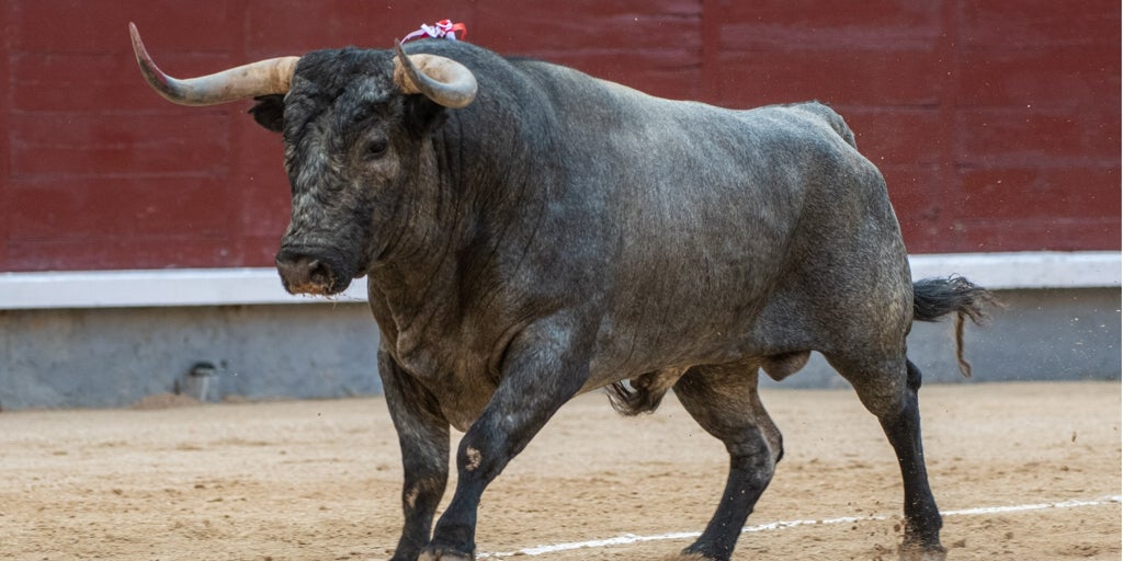 El septiembre torista de Las Ventas define sus carteles