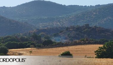 Los bomberos vuelven a la Albaida ante un conato en el mismo lugar del gran incendio