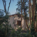 Casa el Arboreto / Camila Pineda Arquitectura - Fotografía exterior, Madera