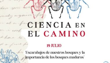 Murciélagos. Seguimiento y función ecológica. - Ciencia en el Camino - Cantabria - 2 agosto